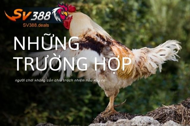 Những trường hợp người chơi không cần chịu trách nhiệm nếu xảy ra