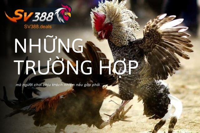 Trường hợp mà người chơi chịu trách nhiệm nếu gặp phải